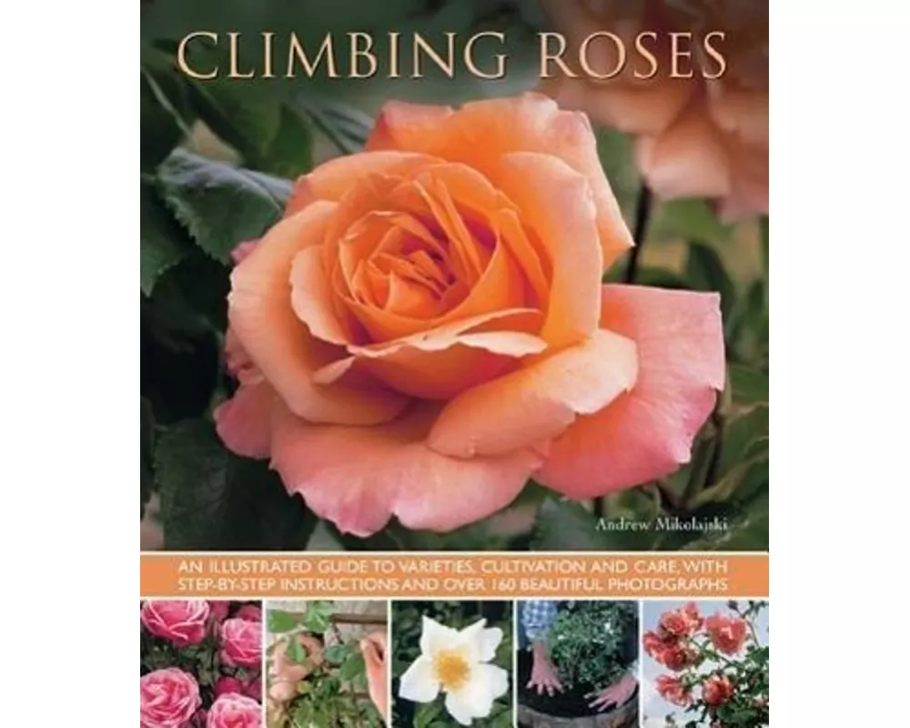 Climbing Roses