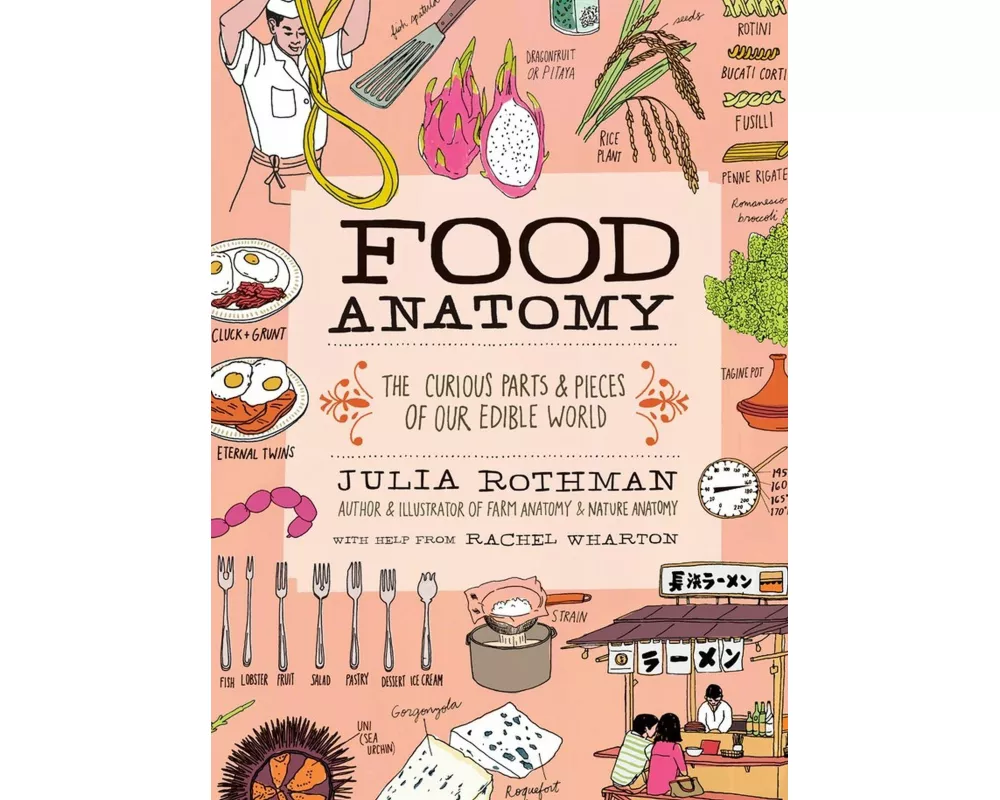 Food Anatomy