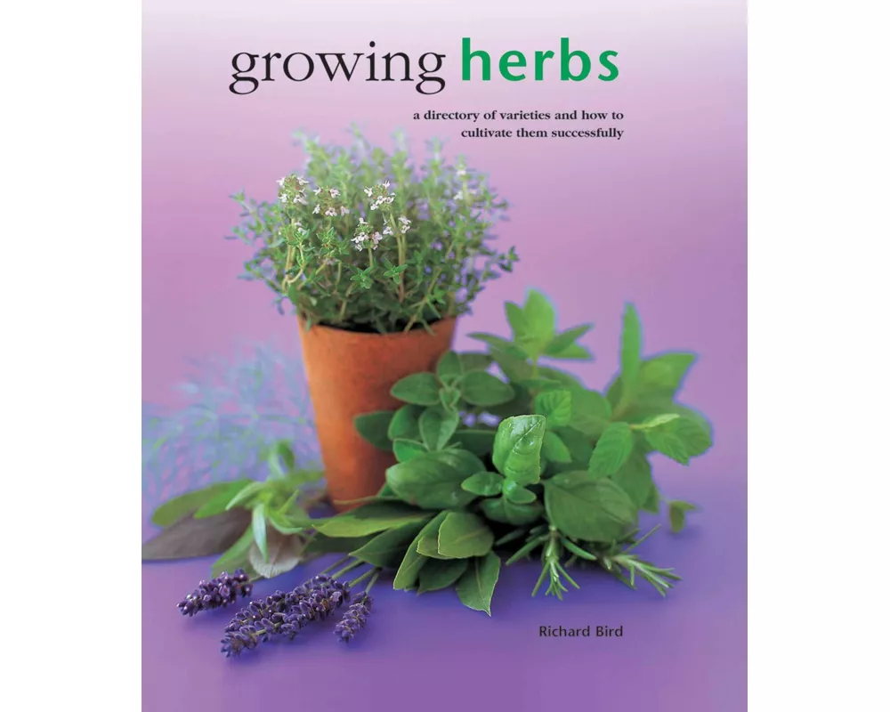 Growing Herbs