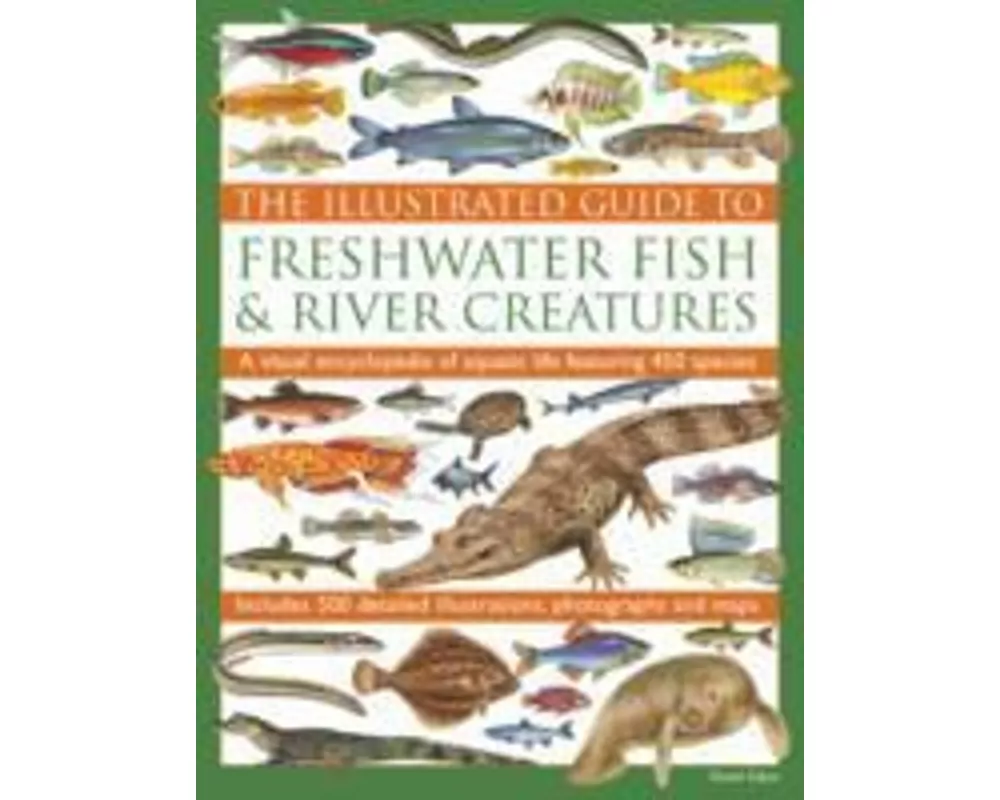 Illustrated Guide to Freshwater Fish & River Creatures