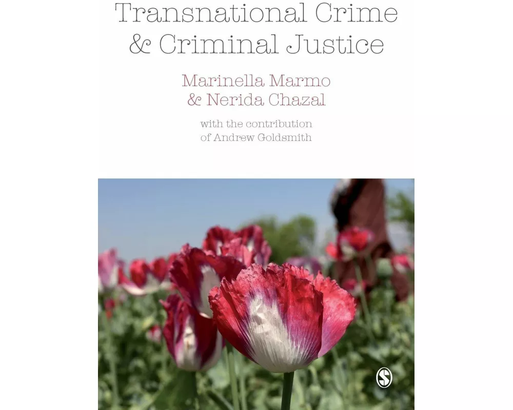 Transnational Crime and Criminal Justice