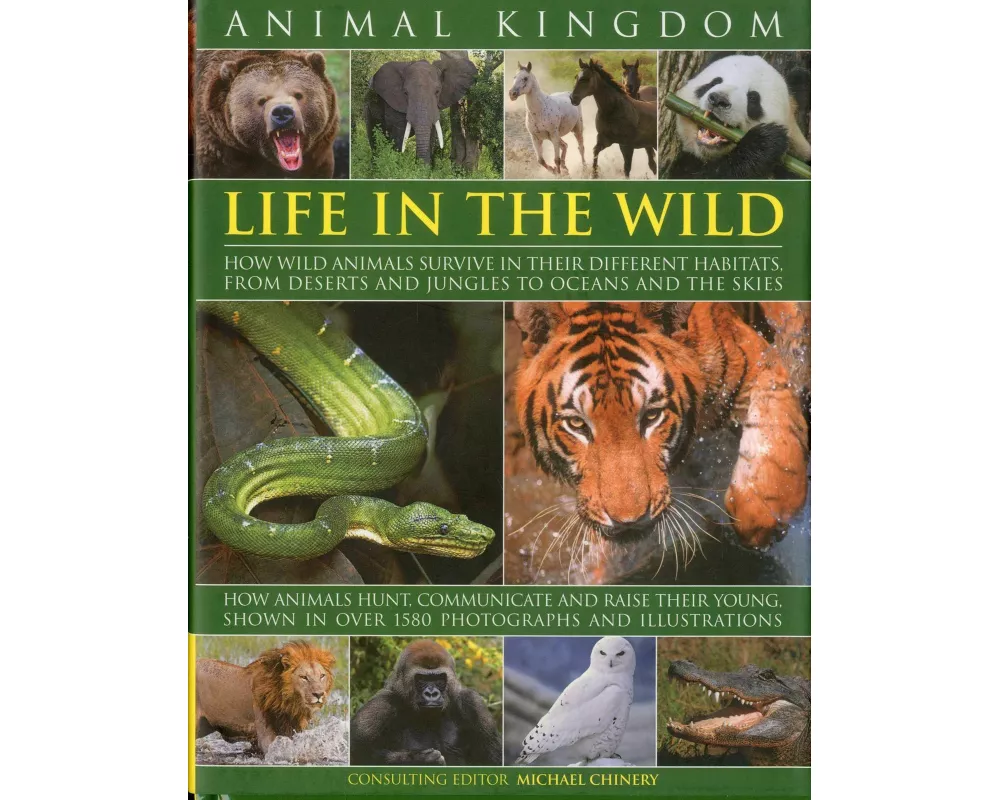 Animal Kingdom