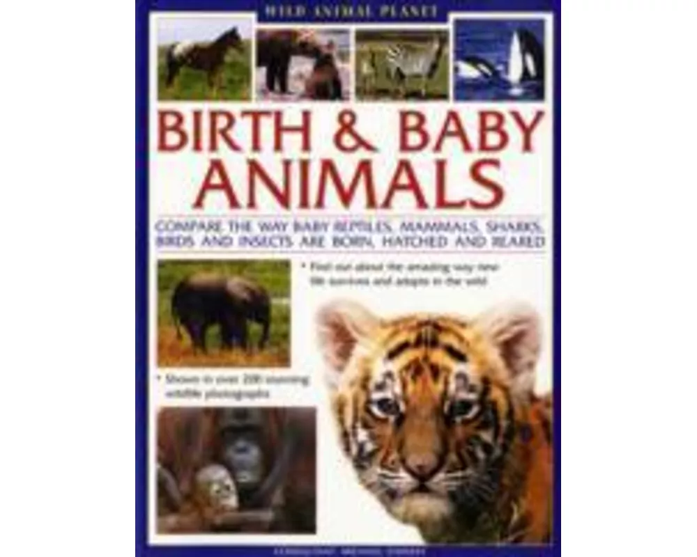 Wild Animal Planet: Birth and Baby Animals*** Out of Stock
