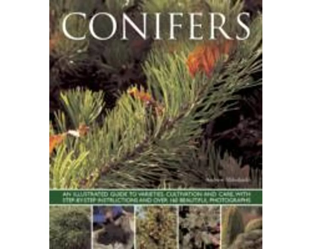 Conifers