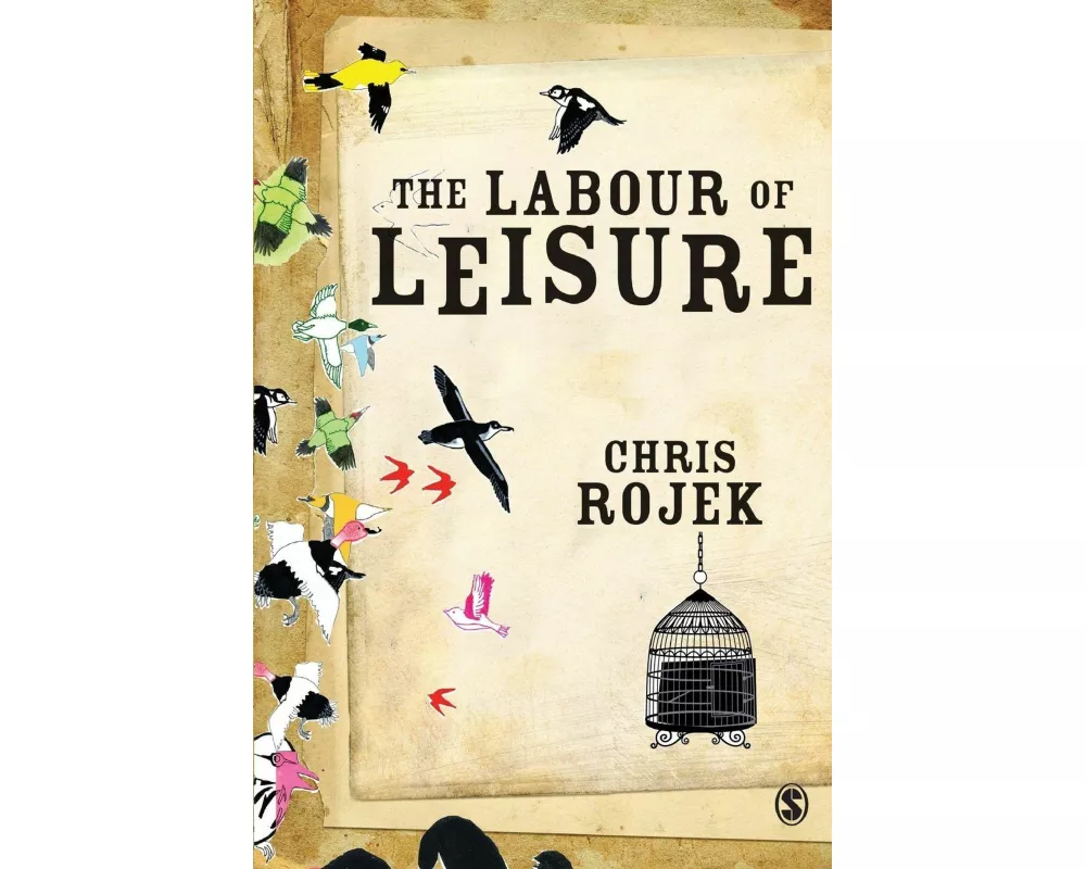 The Labour of Leisure