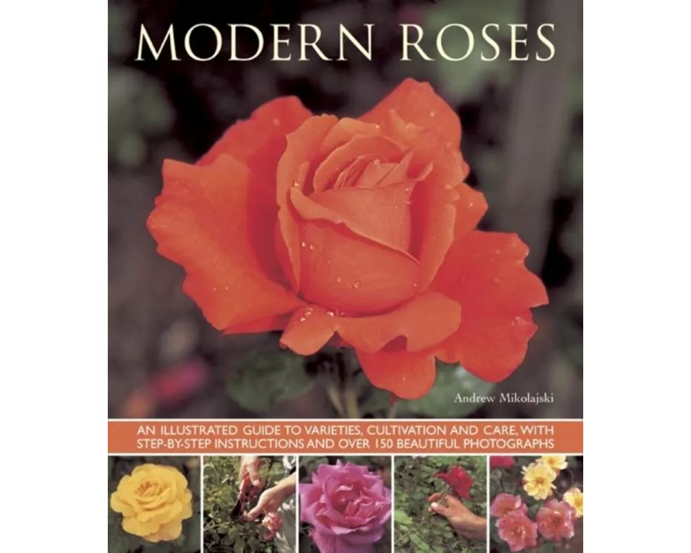 Modern Roses