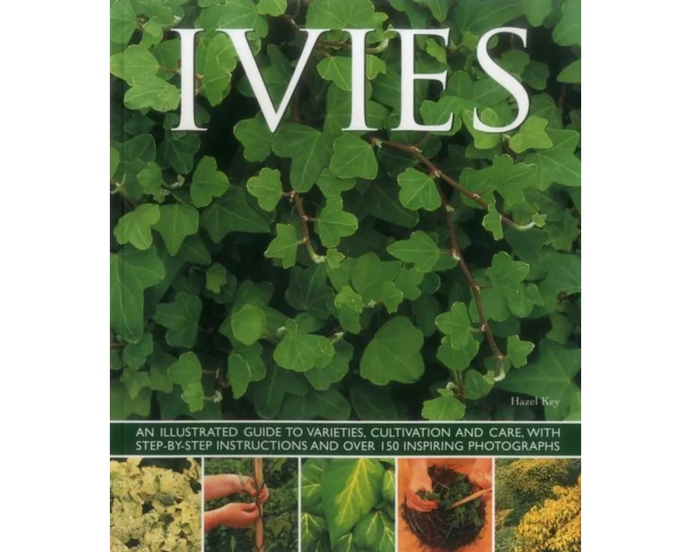 Ivies