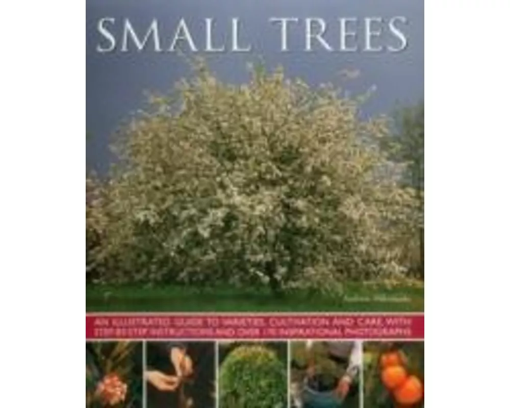 Small Trees