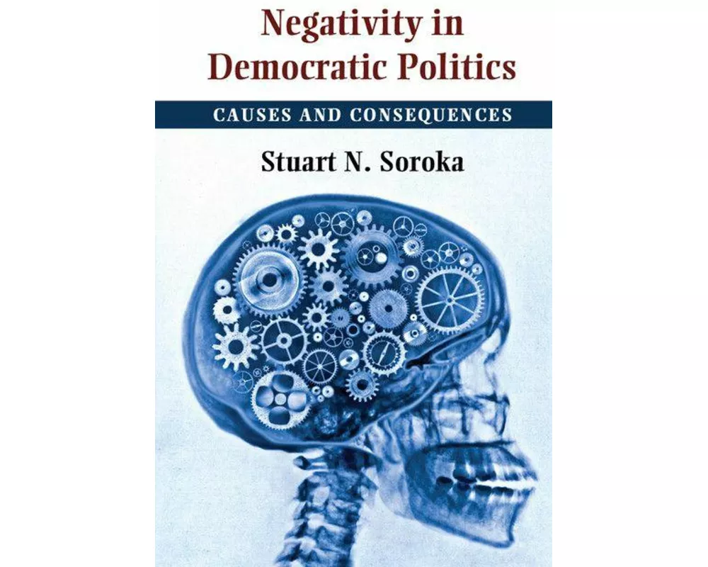 Negativity in Democratic Politics