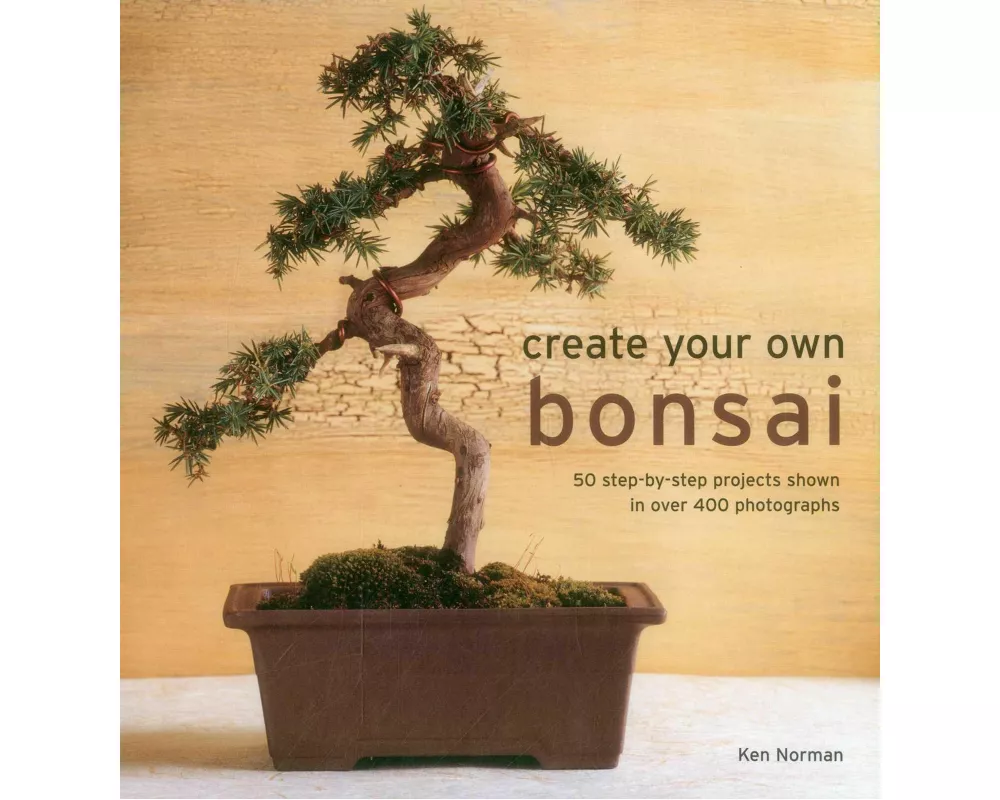 Create Your Own Bonsai