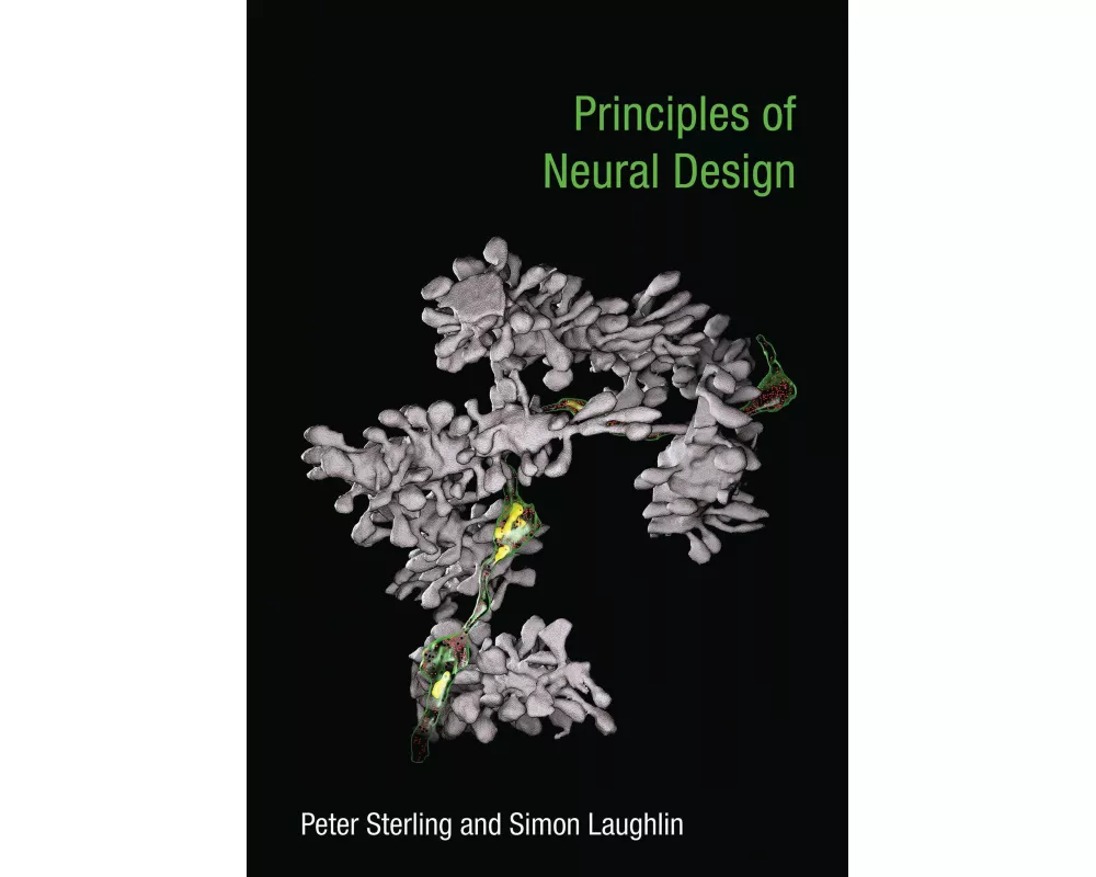Principles Of Neural Design