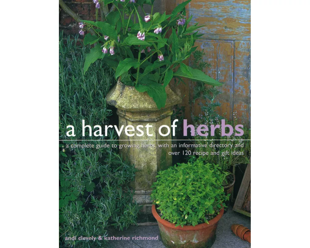 Harvest of Herbs
