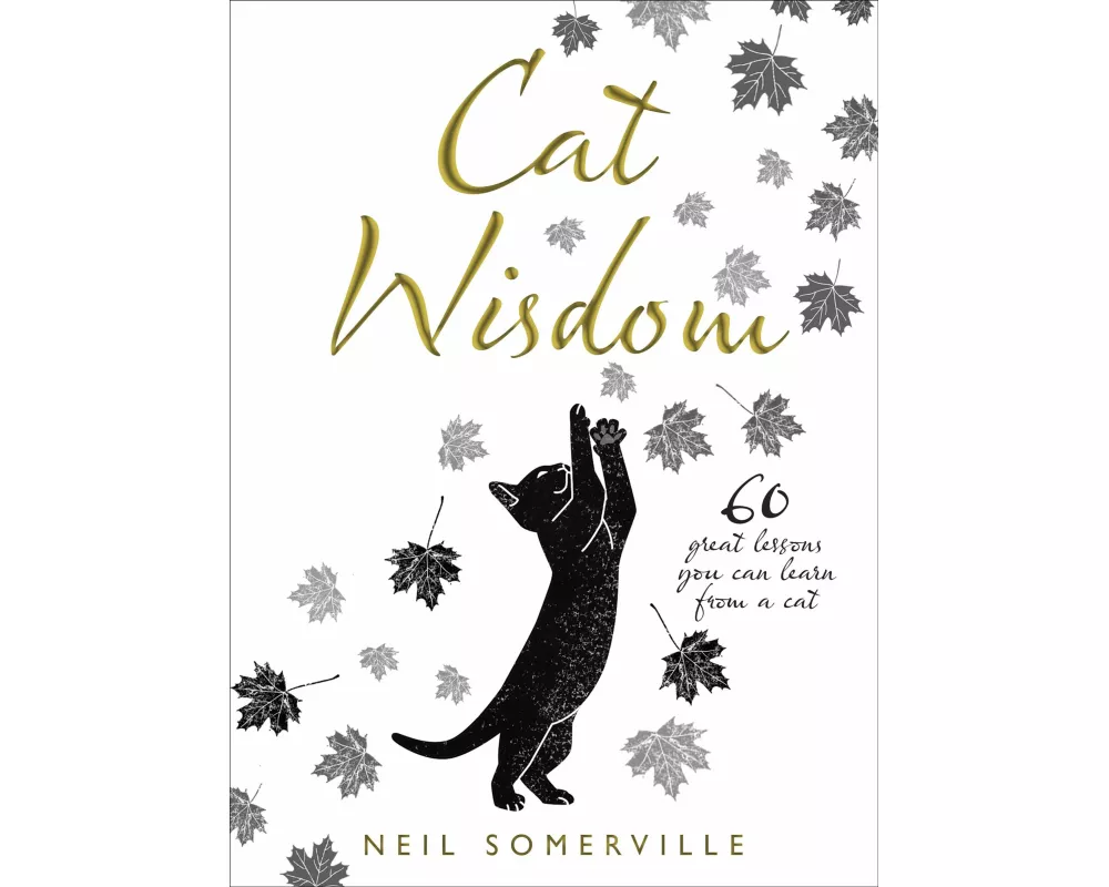 Cat Wisdom