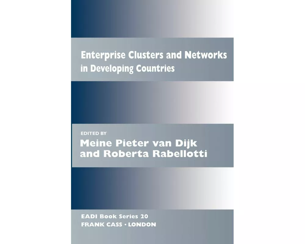 Enterprise Clusters and Networks in Developing Countries