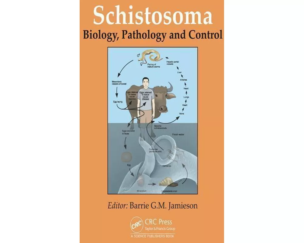 Schistosoma