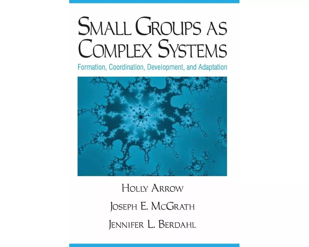 Small Groups as Complex Systems