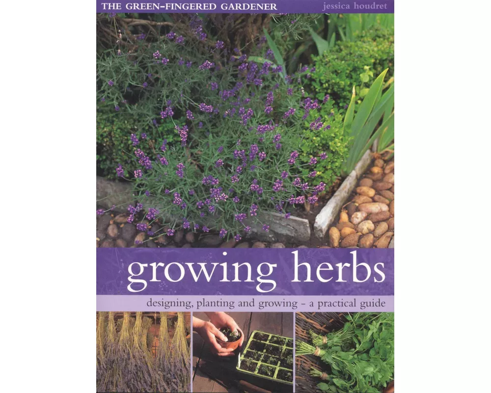 Growing Herbs