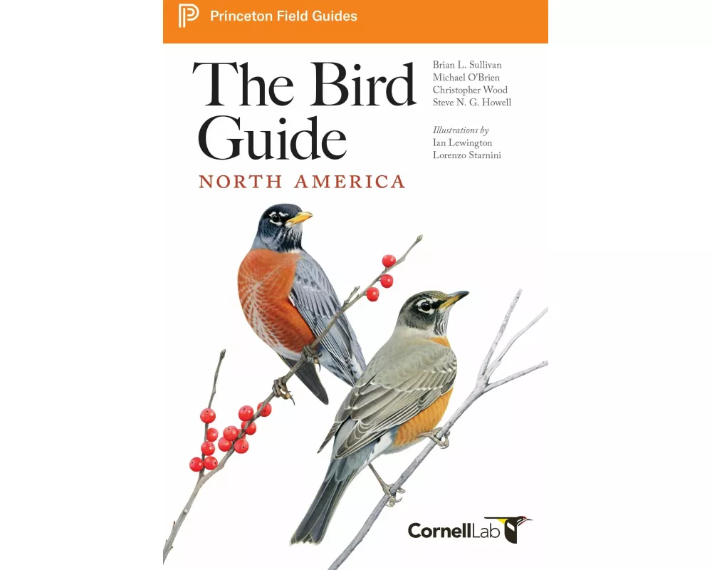 The Bird Guide: North America