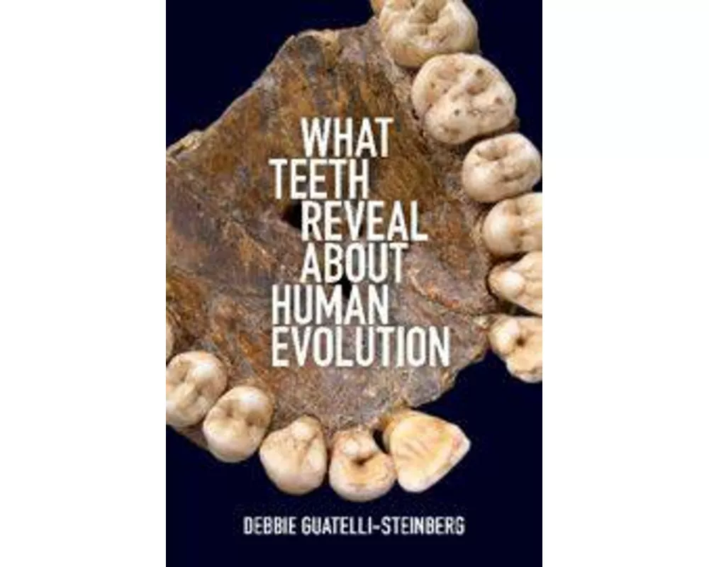 What Teeth Reveal about Human Evolution