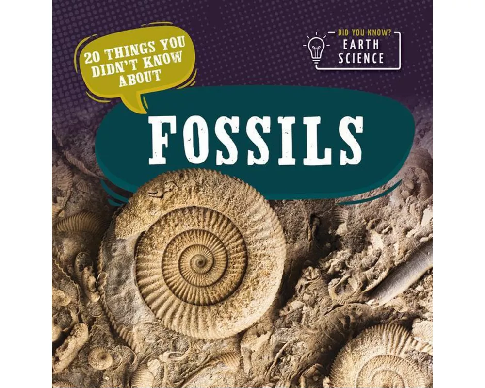 20 Things You Didn't Know about Fossils