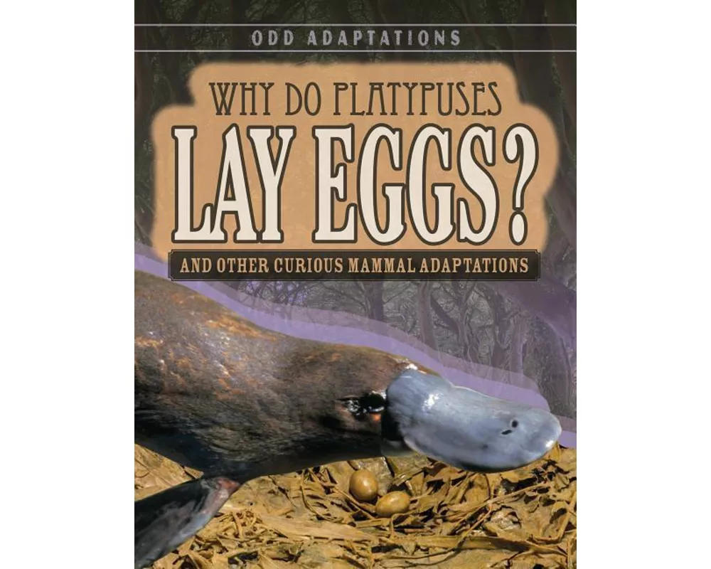 Why Do Platypuses Lay Eggs?
