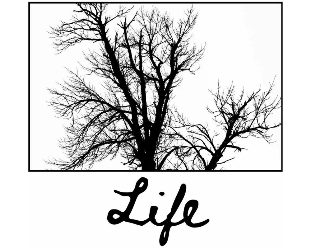Life