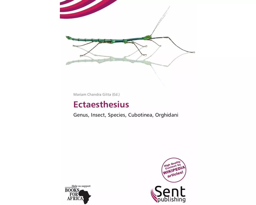 Ectaesthesius