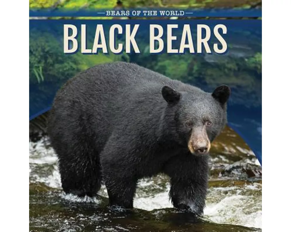Black Bears