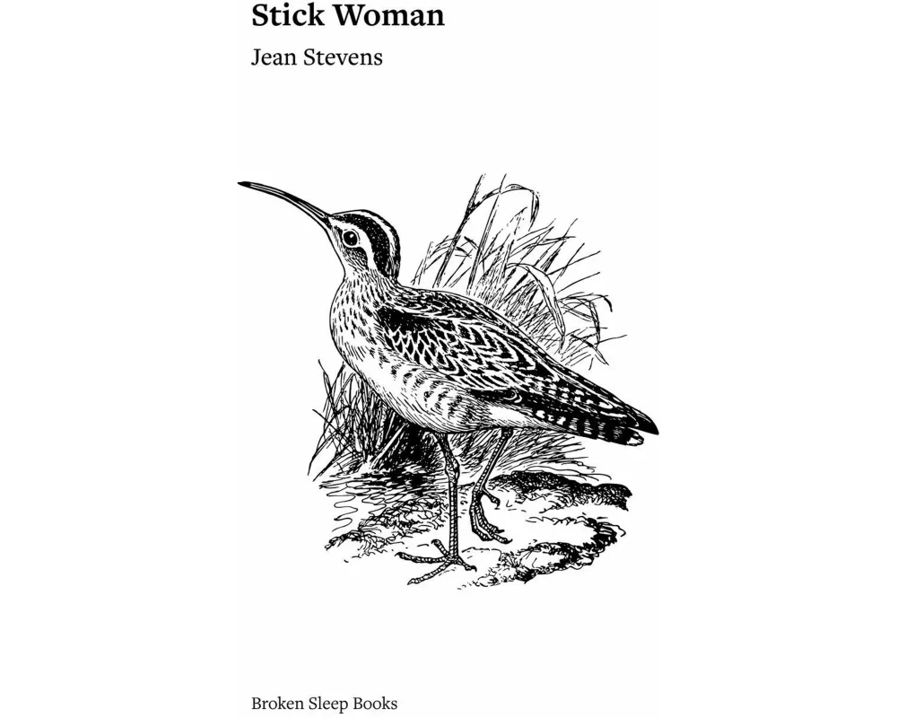 Stick Woman