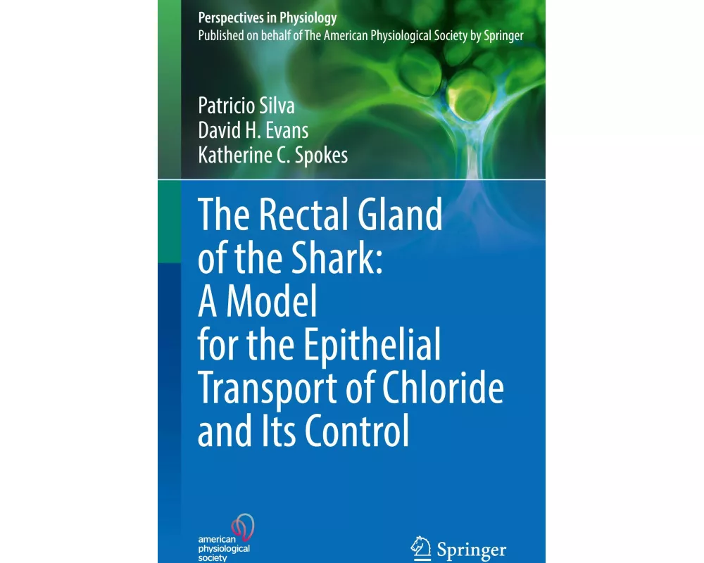 The Rectal Gland of the Shark: A Model for the Epithelial Transport of Chloride and Its Control