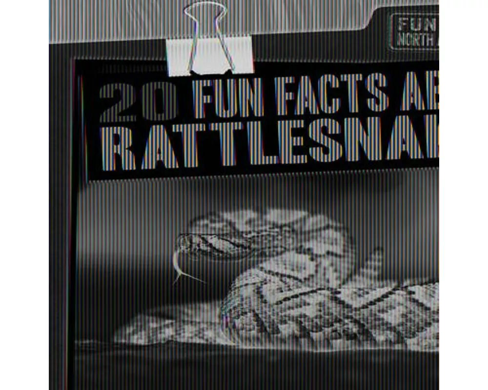 20 Fun Facts about Rattlesnakes