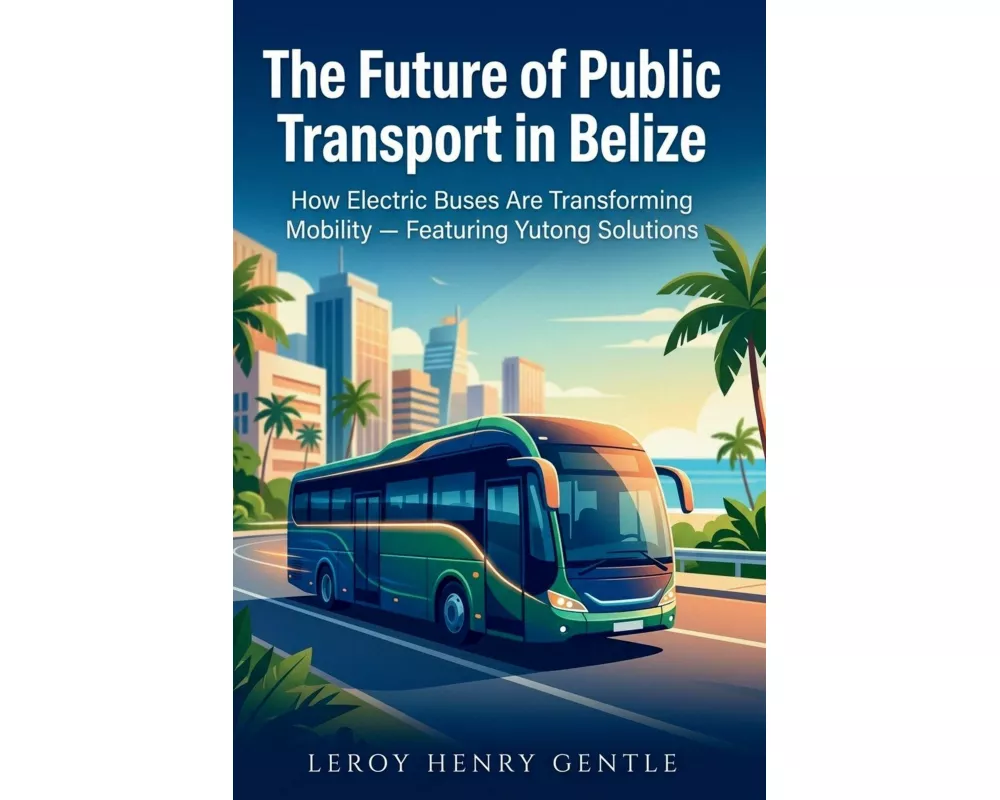 The Future of Public Transport in Belize