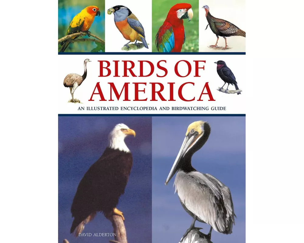 Birds of America