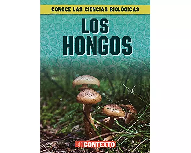 Los Hongos (What Are Fungi?)