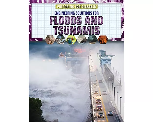 Engineering Solutions for Floods and Tsunamis