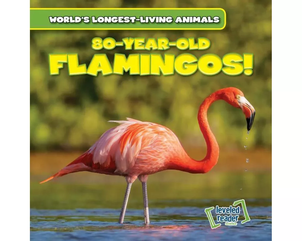 80-Year-Old Flamingos!