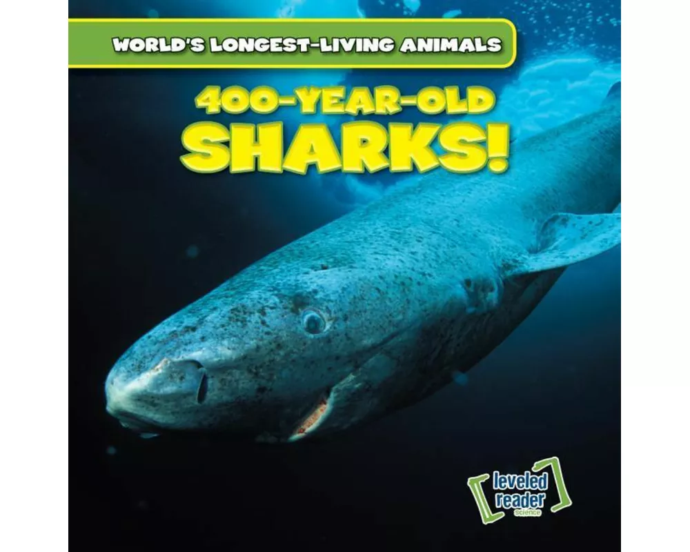 400-Year-Old Sharks!