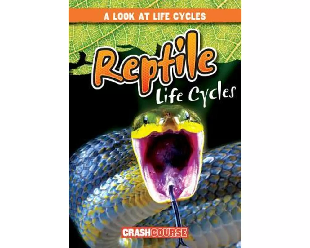 Reptile Life Cycles