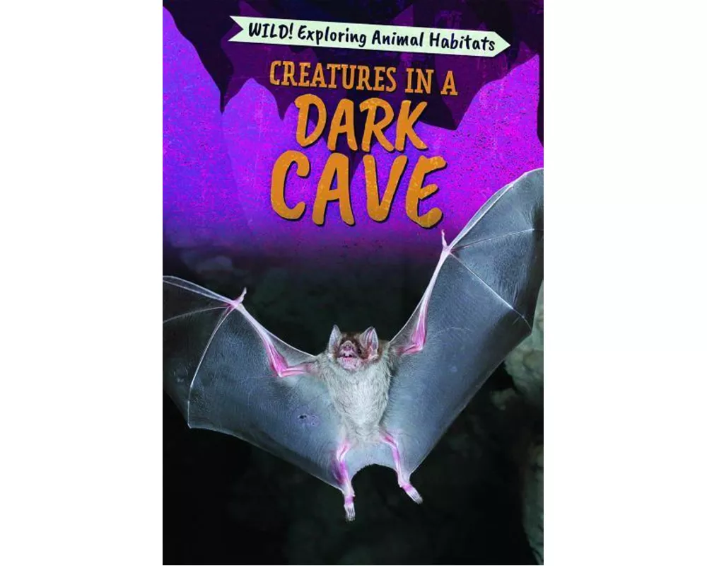 Creatures in a Dark Cave
