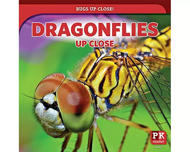 Dragonflies Up Close
