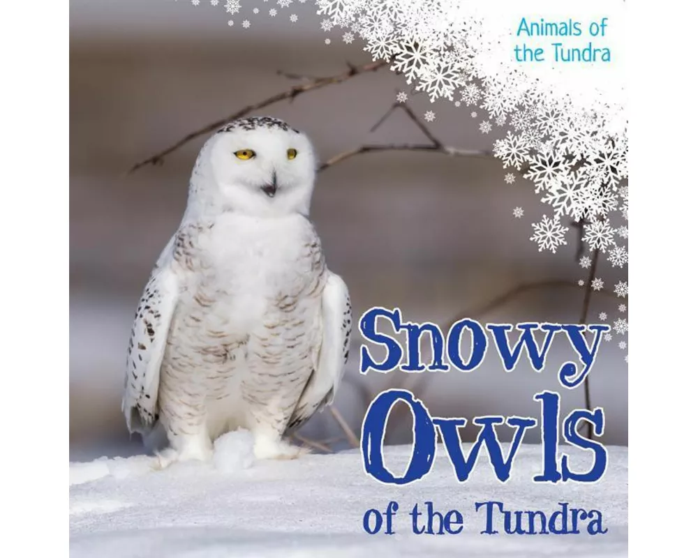 Snowy Owls of the Tundra