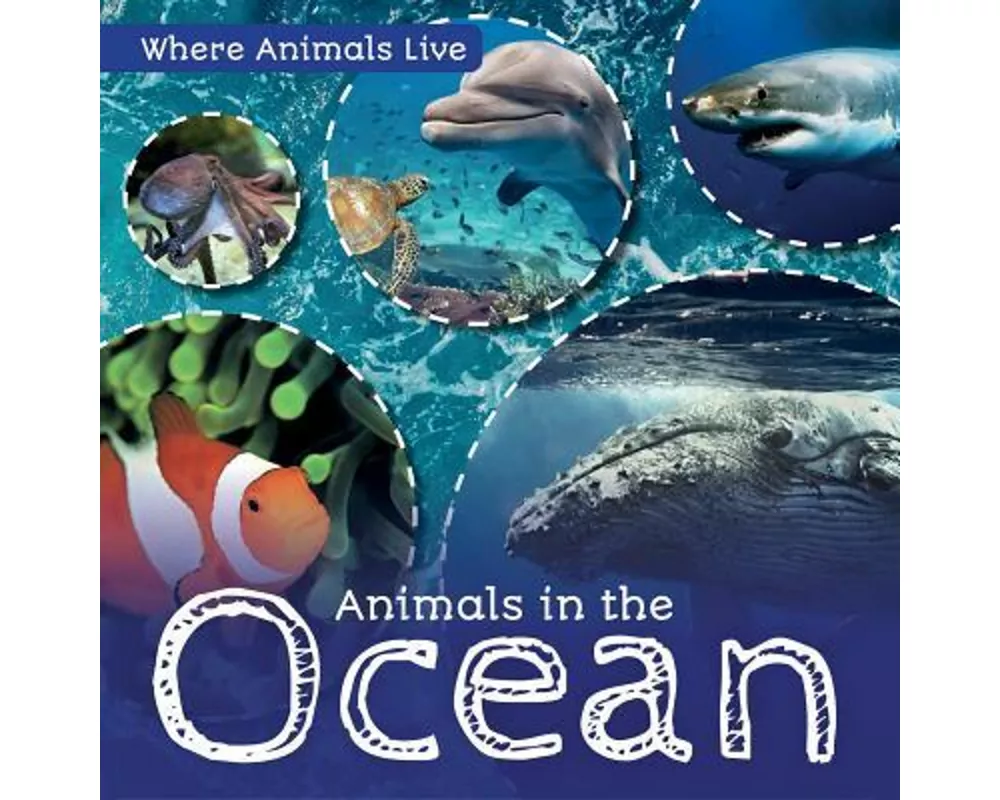 Animals in the Ocean