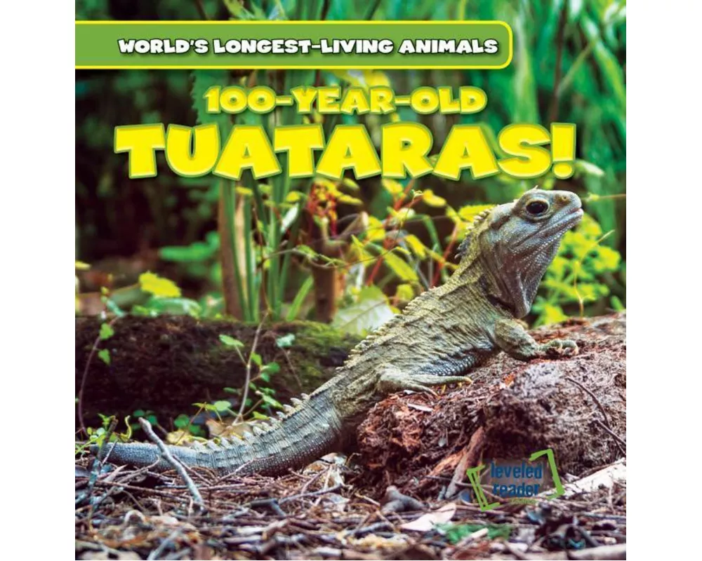 100-Year-Old Tuataras!