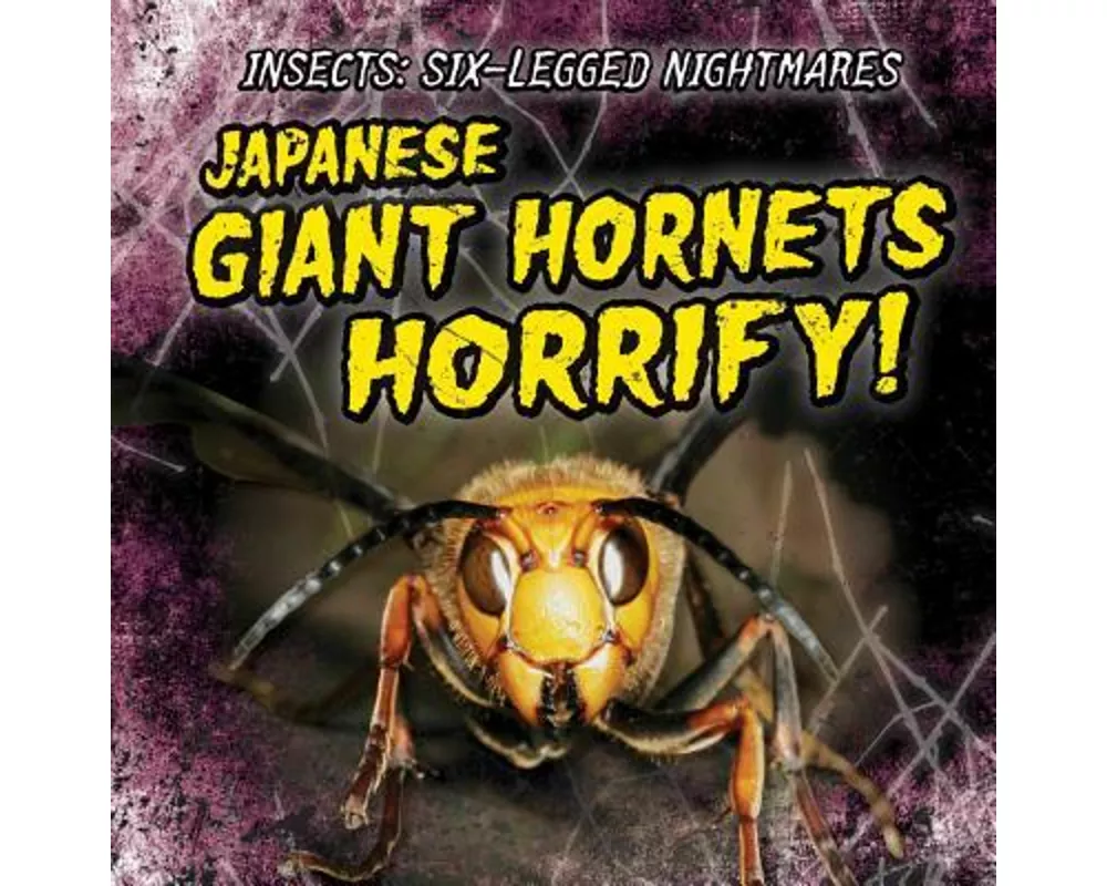 Japanese Giant Hornets Horrify!