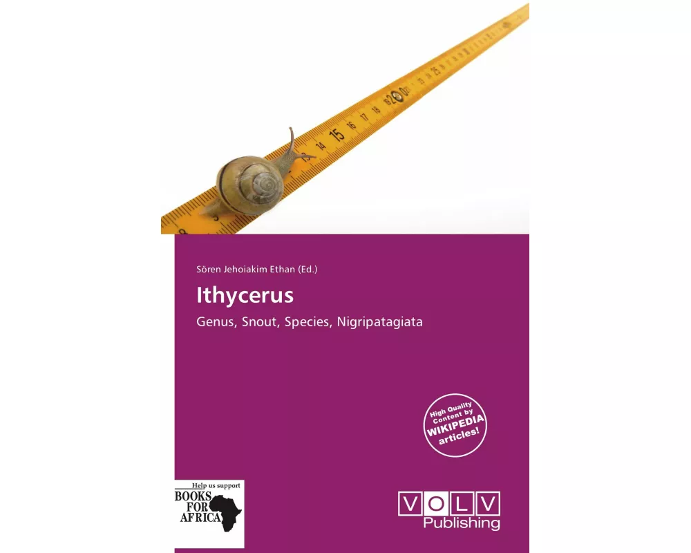 Ithycerus