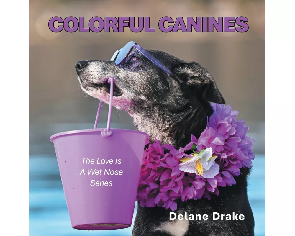 Colorful Canines