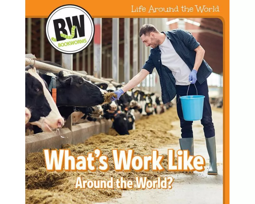 What's Work Like Around the World?