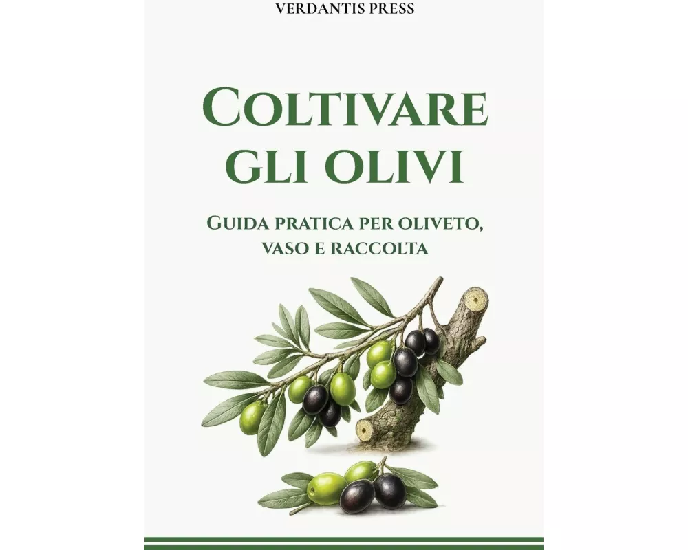 Coltivare gli olivi