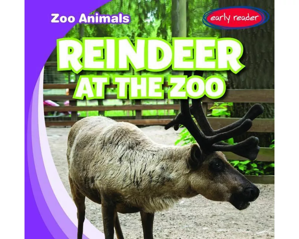 Reindeer at the Zoo