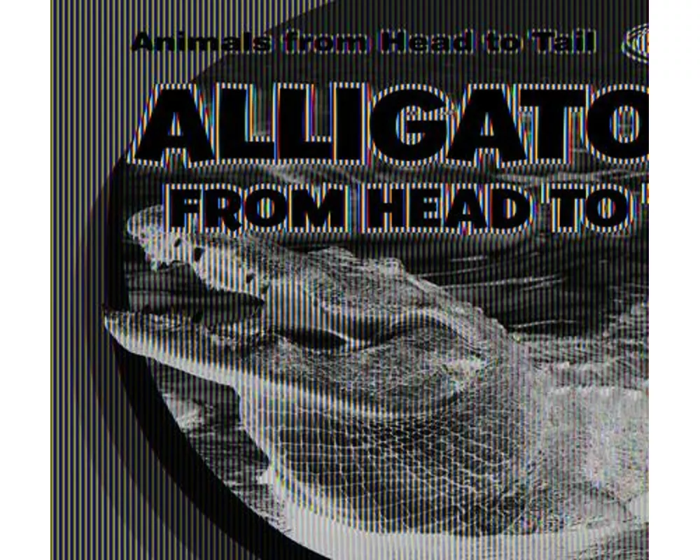 Alligators from Head to Tail